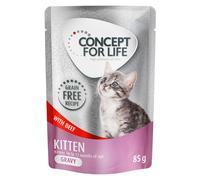 Concept for Life Kitten Beef Grain-Free - in Gravy - 12 x 85g