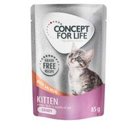 Concept for Life Kitten Salmon Grain-Free - in Gravy - 12 x 85g