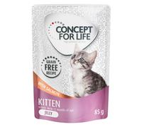 Concept for Life Kitten Salmon Grain-Free - in Jelly - 12 x 85g