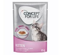 Concept for Life Kitten - in Gravy - 12 x 85g
