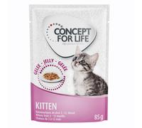 Concept for Life Kitten with Chicken - in Jelly - 12 x 85g
