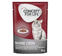 Concept for Life Maine Coon Adult - in Ragout 48 x 85g