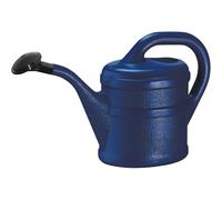 Concept4u Watering Can - Blue Plastic 2L Polyethylene Watering Can with Detachable Sprinkler Rose Head Durable & Lightweight Ideal for Garden, Flower, Bonsai Plants, Indoor & Outdoor, KD24352