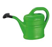 Concept4u Watering Can - Green Plastic 2L Polyethylene Watering Can with Detachable Sprinkler Rose Head Durable & Lightweight Ideal for Garden, Flower, Bonsai Plants, Indoor & Outdoor, KD24349