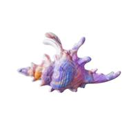 Conch Shaped Hair Claw Clip Secure Clasp Acrylic Accessory for Parties Workouts Event Claw Clip for Sports