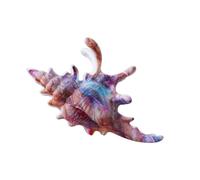 Conch Shaped Hair Claw Clip Secure Clasp Acrylic Accessory for Parties Workouts Event Claw Clip for Sports