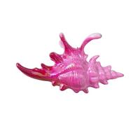 Conch Shaped Hair Claw Clip Secure Clasp Acrylic Accessory For Parties Workouts Event Elegant Claw Clip For Women