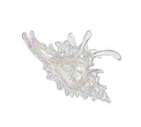 Conch Shaped Hair Claw Clip Secure Clasp Acrylic Accessory For Parties Workouts Event Elegant Claw Clip For Women