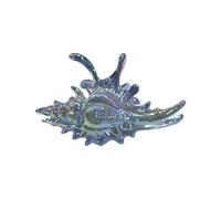 Conch Shaped Hair Claw Clip Secure Clasp Acrylic Accessory For Parties Workouts Event Elegant Claw Clip For Women