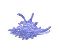 Conch Shaped Hair Clip Secure Clasp Acrylic Accessory for Parties Workouts Event Clip for Sports