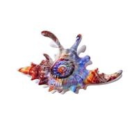 Conch Shaped Hair Clip Secure Clasp Acrylic Accessory for Parties Workouts Event Fashionable Conch Clip Jewelry