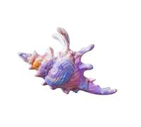 Conch Shaped Hair Clip Secure Clasp Acrylic Accessory for Parties Workouts Event Fashionable Conch Clip Jewelry