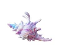 Conch Shaped Hair Clip Secure Clasp Acrylic Accessory for Parties Workouts Event Fashionable Conch Clip Jewelry