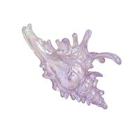 Conch Shaped Hair Clip Secure Clasp Acrylic Hair Accessory for Parties Workouts Event Elegant Hair Clip for Women