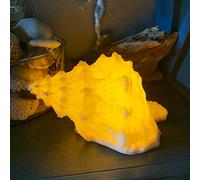 Conch Shell Night Light-Battery Powered LED Night Light for Kids Room, Auto Off Timer, Adults Bedroom Decor Nautical Lighting, Beach Themed Lamp Suitable for Baby Nursery, Home Ocean-Nightstand Decor