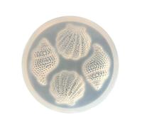 Conch Silicone Moulds Simulation Shell Decoration Molds Chocolate Cake Baking Tool Molds for Jewelry Making Conch Plasters Casting Silicone Shell Decoration