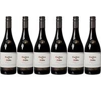 Concha Y Toro Casillero Del Diablo Shiraz 75 cl (Case of 6)