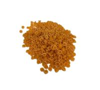 Conchigliette No 39 500G Italian Small Shell Durum Wheat Pasta for Soups Salads Recipes Product of Italy Pack of 1