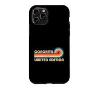CONCHITA Retro 70s 80s Sunset Stripe Case for iPhone 11 Pro