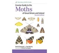 Concise Guide to the Moths of Great Britain and Ireland: Second edition: (2nd edition)