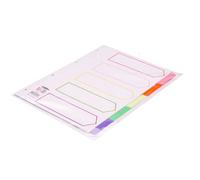 Concord A4 5 Part Assorted Neon Fluorescent Divider Mylar Tabs