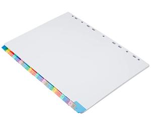 Concord Punched Pocket Index Multicolour-tabbed Europunched 1-31 Extra Wide A4 White Ref CS100