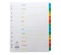 Concord Index Jan-Dec Multipunched Multicolour-Tabs A4+ White - CS79