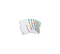 Concorde Concord A4 10 Part Index With Multi-Colour Tabs - White