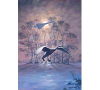 Concorde Swan British Airways Airliner Aircraft Plane Birthday Christmas Card