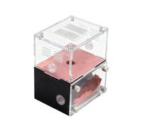 Concrete Ant Nest with Acrylic Farm Habitat - Feeding Box for Ant Colonies, Durable & Clear Observation Ant Habitat