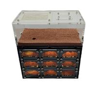Concrete Classic Ant Castle - Black Hole Farm Nest with USB Charging Cable, Ant Habitat for Science Learning Pet house