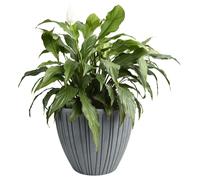 (Concrete gray, Medium - W30cm x H32cm) Round Flower Pot Outdoor Indoor Ridged Planter Pot Textured Decorative Modern