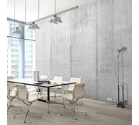 Concrete wallpaper Grey office wall mural 368x254 cm hall dining room