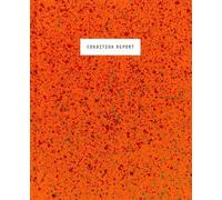 Condition Report: New Photographic Art from the Czech Republic