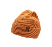 Condor Classic Beanie