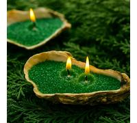 Conelist 2.2 lb Fir Scented Pearled Candle Sand Wax Set Customized Powder Making Candles Refill Kit Palm Wax All Natural Non Toxic with 20 Wicks for Christmas Gifts DIY(Green)