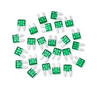 Conext Link ATM30-25 ATM Fuse 25 Pack (30 Amp)