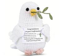 Confirmation Gifts for Teen Girls Boys, Religious Easter Basket Stuffers, Catholic Confirmation Gi-fts for Girls Boys, Baptism First Communion Gifts for Godson Goddaughter Catholic Faith Based Present