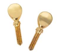 CONGARTENO 2Pcs Copper Flute Head Screws Music Accessories for Flute Repairing Supplies Replacement Parts with High Hardness and