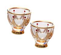 CONGARTENO 2PCS Vintage Hand Painted Crystal Glass Wine Cups Thick Base Luxury Bar Antique Liquor Glasses for Wine and Spirits Elegant Middle Eastern Style