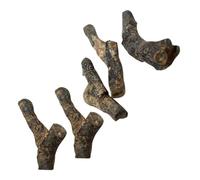 CONGARTENO 5pcs Stromatoporoid Specimens for Educational Play Teaching Collection Authentic Ancient Samples for Adults Random Style Paleontology