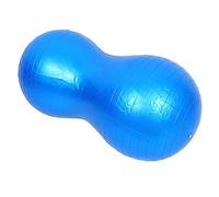 CONGARTENO Fitness Balance Ball with Pump PVC Stability Exercise Yoga Ball for Core Strength Flexibility Full Body Training at Home Blue Sensory Gym Equipment for Boys