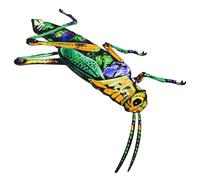 CONGARTENO Iron Art Insect Wall Decoration Metal Bug Sculpture for Garden Backyard Painted Wall Hanging Craft Ornament Handmade for Outdoor and Indoor Use