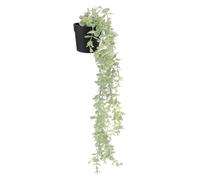 CONGARTENO Lifelike Faux Rattan Plant Pendant Wall Hanging Decor for Indoor Outdoor Use Vivid Artificial Vine with Premium Plastic No Watering Required Creative Garden and Home Decoration