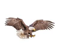 CONGARTENO Realistic Eagle Wall Sticker PVC Matte Finish Removable Self-Adhesive Decorative Decal for Living Office Bedroom Backdrop
