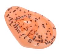 CONGARTENO Realistic Ear Reflexology Model with Detailed Acupuncture Points and Clear Chinese Markings for Teaching and Massage Ear Zone Learning Prop for Medical Training and Clinical