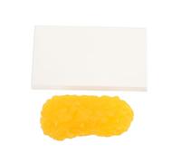 CONGARTENO Realistic Human Body Fat Model Anatomical Demonstration for Nutrition Science Students Health Motivation and Diet Reminder