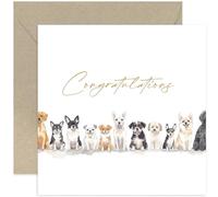 Congratulations Card for Female Friend - Perfect for Dog Lovers or Owners - Contemporary Watercolour Artwork - Well Done, You Did It, Proud of You - Graduation, New Job, Exam Results