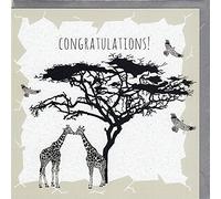 Congratulations! - Quirky Giraffes Thorn Tree Congratulations Card Hand Drawn
