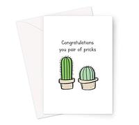 Congratulations You Pair Of Pricks Greeting Card | Cactus Prick Pun Rude Congratulations Card For Couple, Funny Engagement Card, Offensive Having A Baby Card, Banter New House Card, Joke Wedding Card